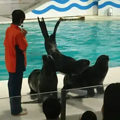 おたる水族館