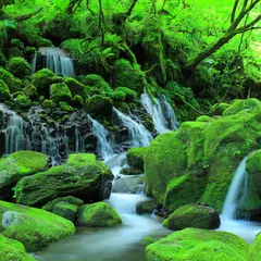 元滝伏流水