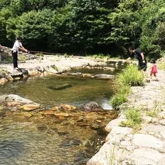 津谷渓流公園（渓流釣）