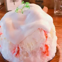 cafe twelve