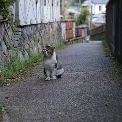 窯垣の小径資料館