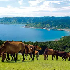 都井岬