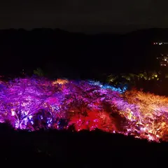 御船山楽園
