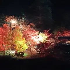 中野もみじ山