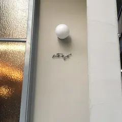 steef（スティーフ）