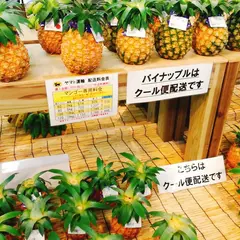 島の駅みやこ
