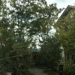 林のカフェ Hayashi Cafe