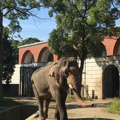 よこはま動物園ズーラシア