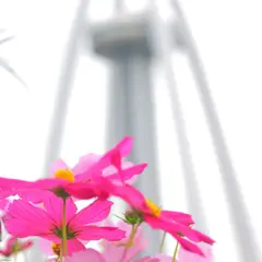 ツインアーチ１３８