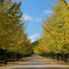秩父ミューズパーク