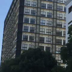 the SOHO
