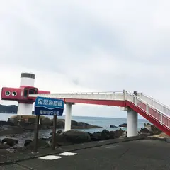 足摺海底館