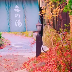 山あいの宿 山みず木