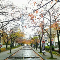 山谷堀公園