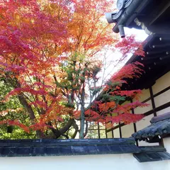 退耕庵