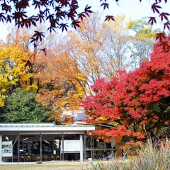 桜丘すみれば自然庭園