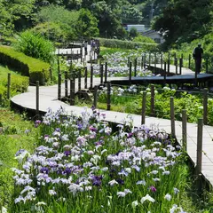 二宮せせらぎ公園