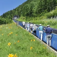 横手山スカイレーターとスカイペアリフト