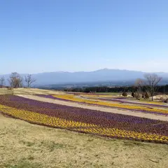 くじゅう花公園