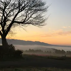 雲海