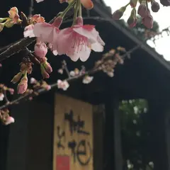 無雙庵枇杷