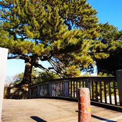 亀城公園