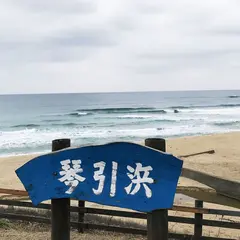 琴引浜