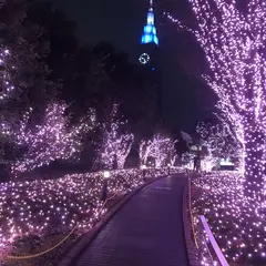 サザンライツ 新宿サザンテラス