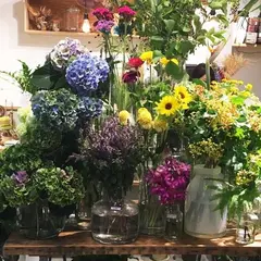 TRUMP flowers