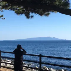 雛の館 むかい庵