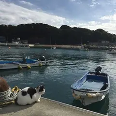 仁斗田港