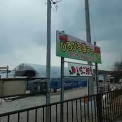 ひろびろ苺ファーム