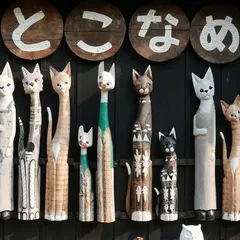 常滑焼 散歩コース