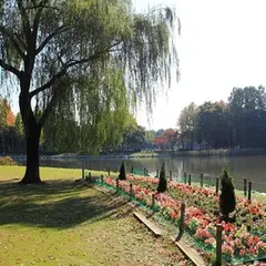 洞峰公園