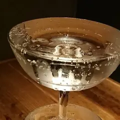 VIVA周平