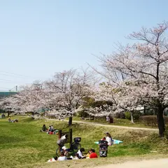 北山公園