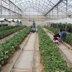 つくばねファーム