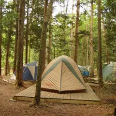石岡市つくばねオートキャンプ場