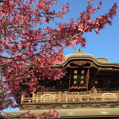 建長寺庭園