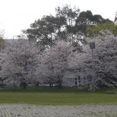 難波宮跡公園