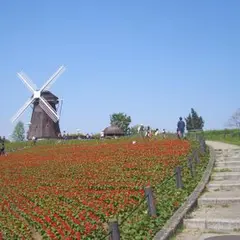 花博記念公園鶴見緑地