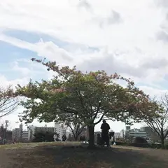 西郷山公園