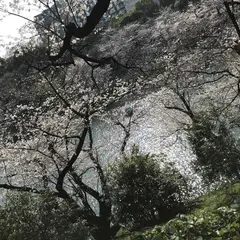 北の丸公園