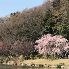 じゅん菜池緑地