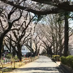 市川市 スポーツセンター
