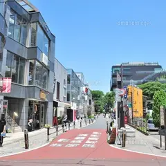 キャットストリート