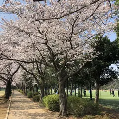 日立柏総合グラウンド