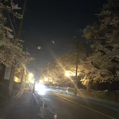 県営狭山稲荷山公園