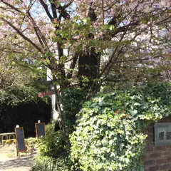 手づくりパンの店 櫻蔵