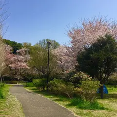 石神井公園